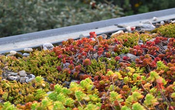 the cost of Ab Lench green roof installation