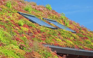 Ab Lench living roof systems