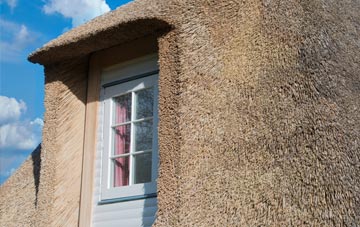 Ab Lench thatch roof disadvantages